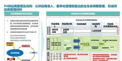 企业四大核心运营流程详细梳理 从战略规划到信息系统集成的全链路透视（第114页精要解读）